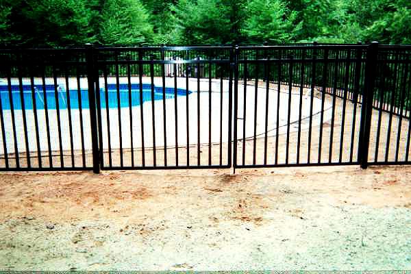 double drive gate